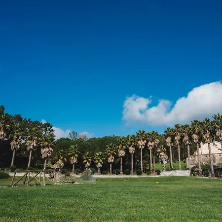 Quinta Da Carlota 托里什韦德拉什