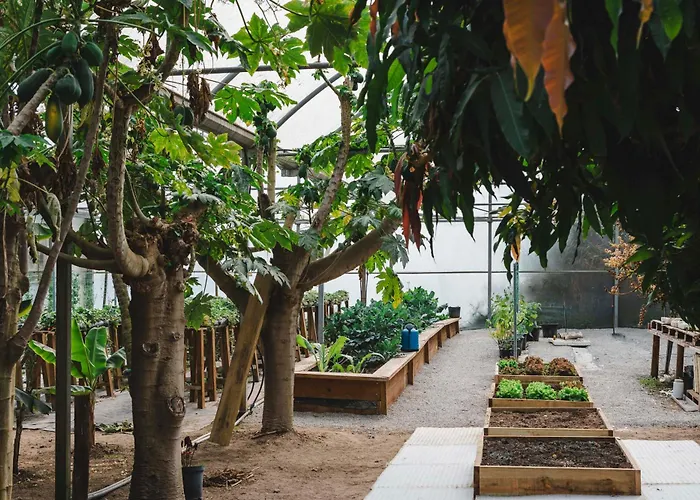 Quinta Da Carlota B&B 토레스베드라스