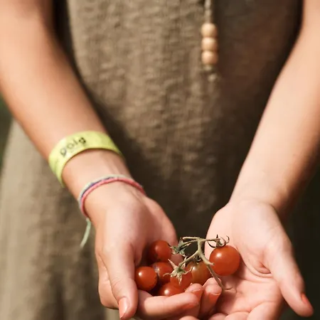 Quinta Da Carlota فندق مبيت وإفطار توريس فيدراس