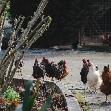 Quinta Da Carlota فندق مبيت وإفطار