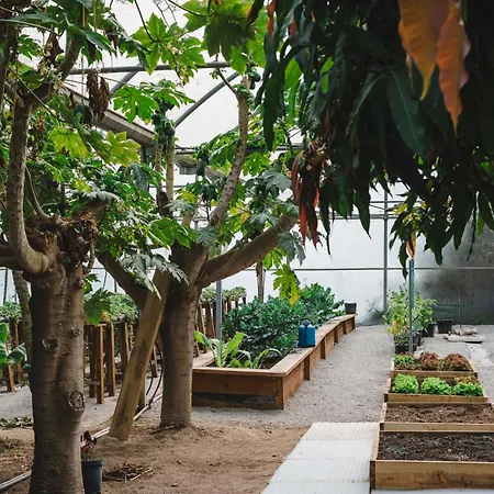 Quinta Da Carlota Bed & Breakfast Torres Vedras