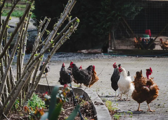 Quinta Da Carlota Nocleg ze śniadaniem