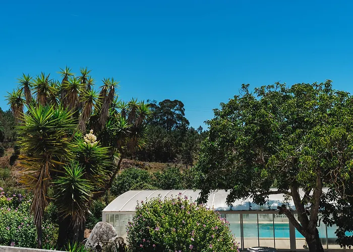 Quinta Da Carlota Bed & Breakfast